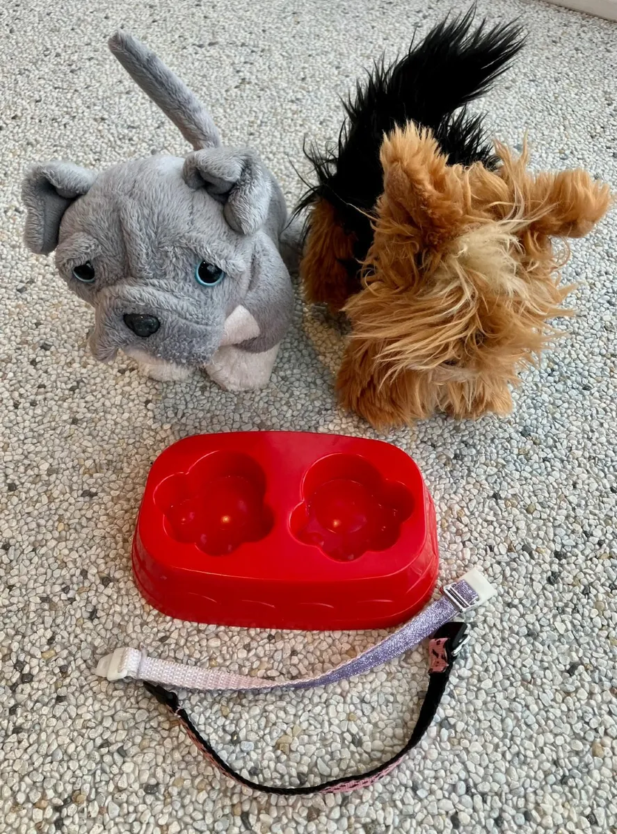 Generation Doll and Various Accessories - Image 2