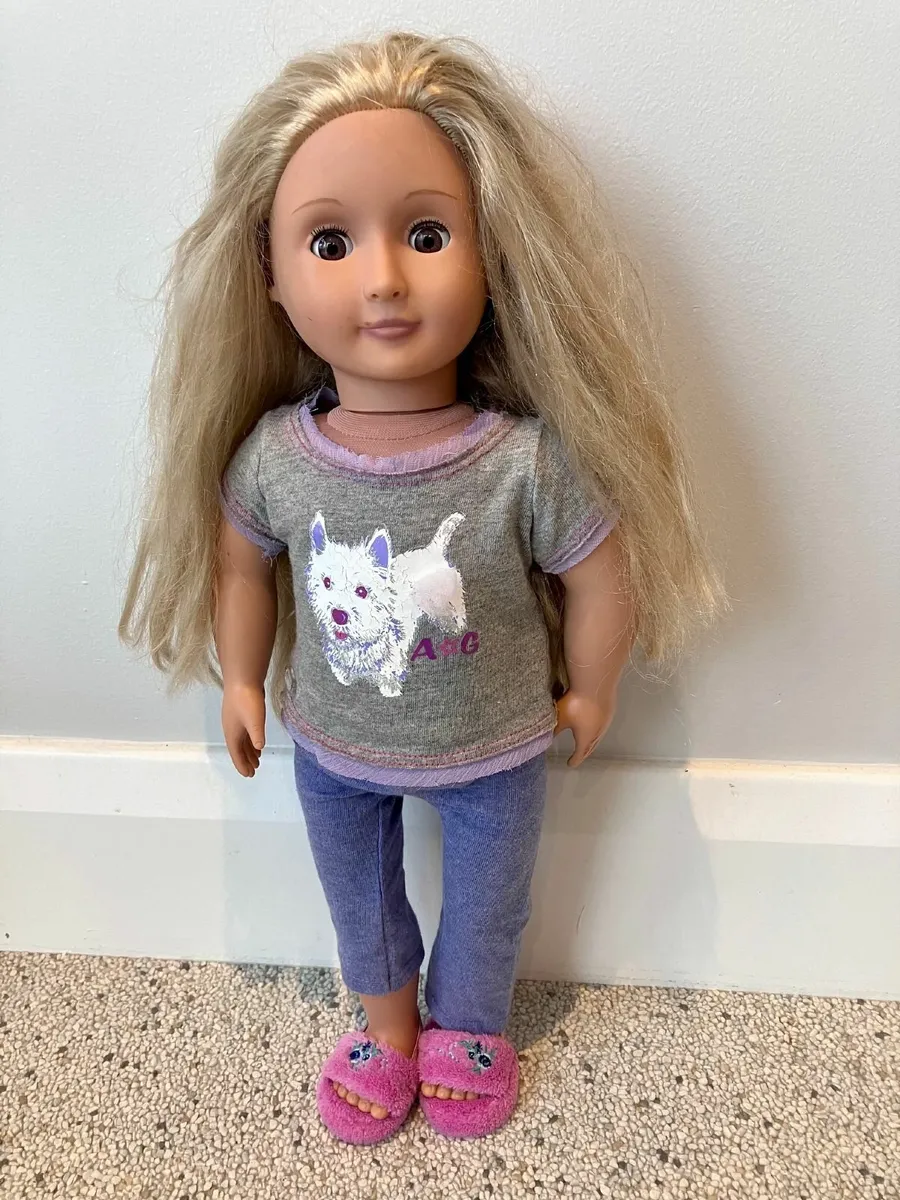 Generation Doll and Various Accessories - Image 3