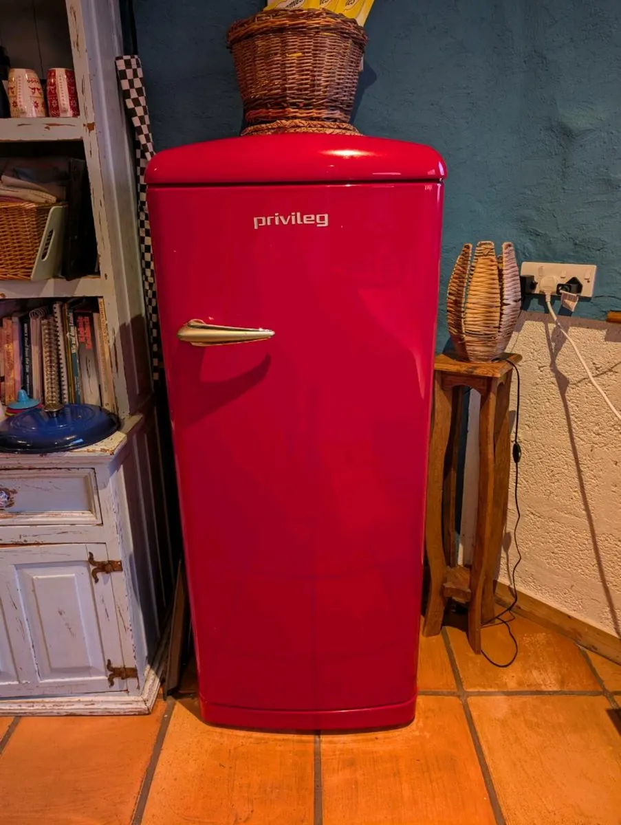 Fridge (Freezer) - Image 1