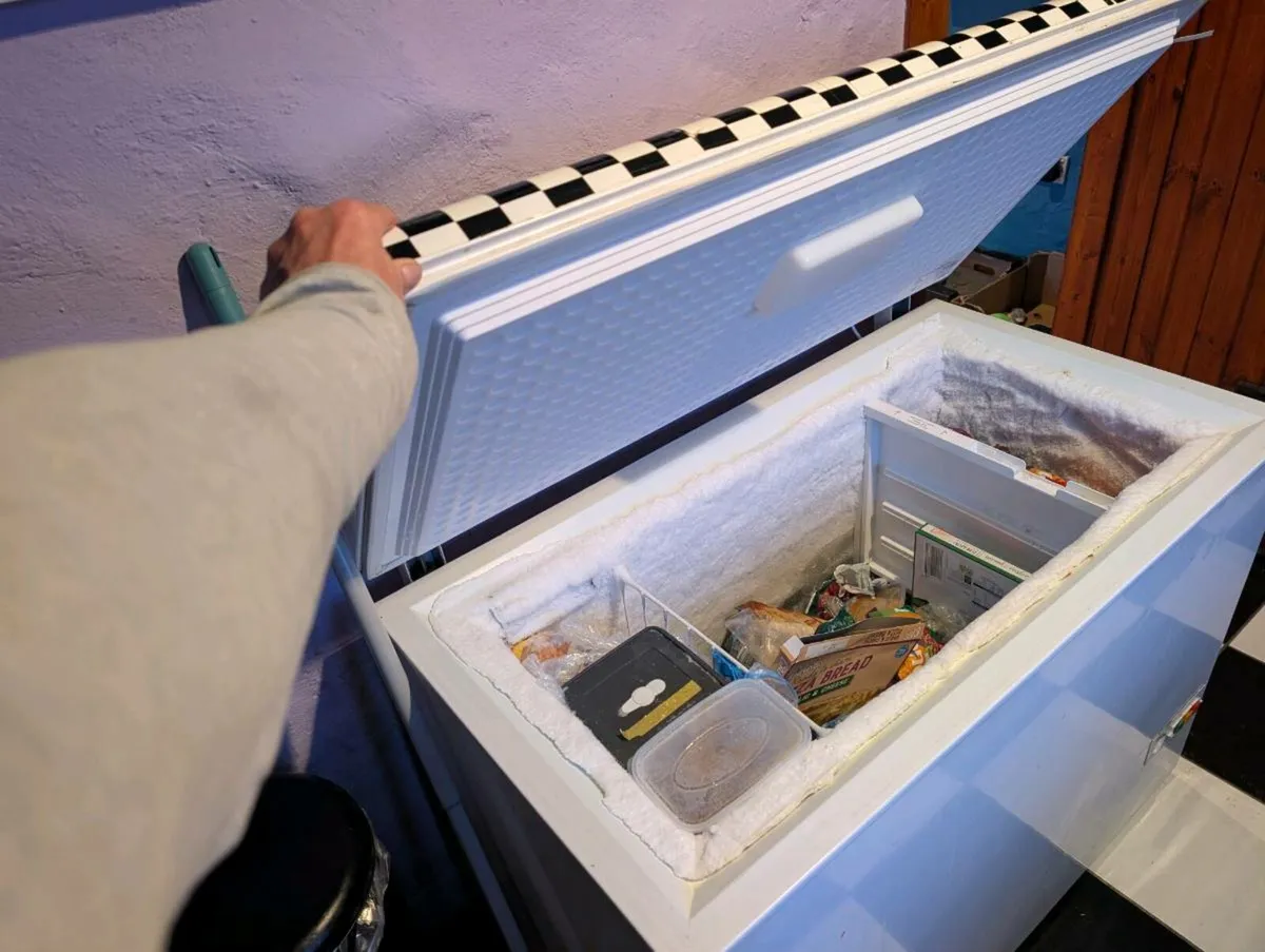 Chest Freezer - Image 2