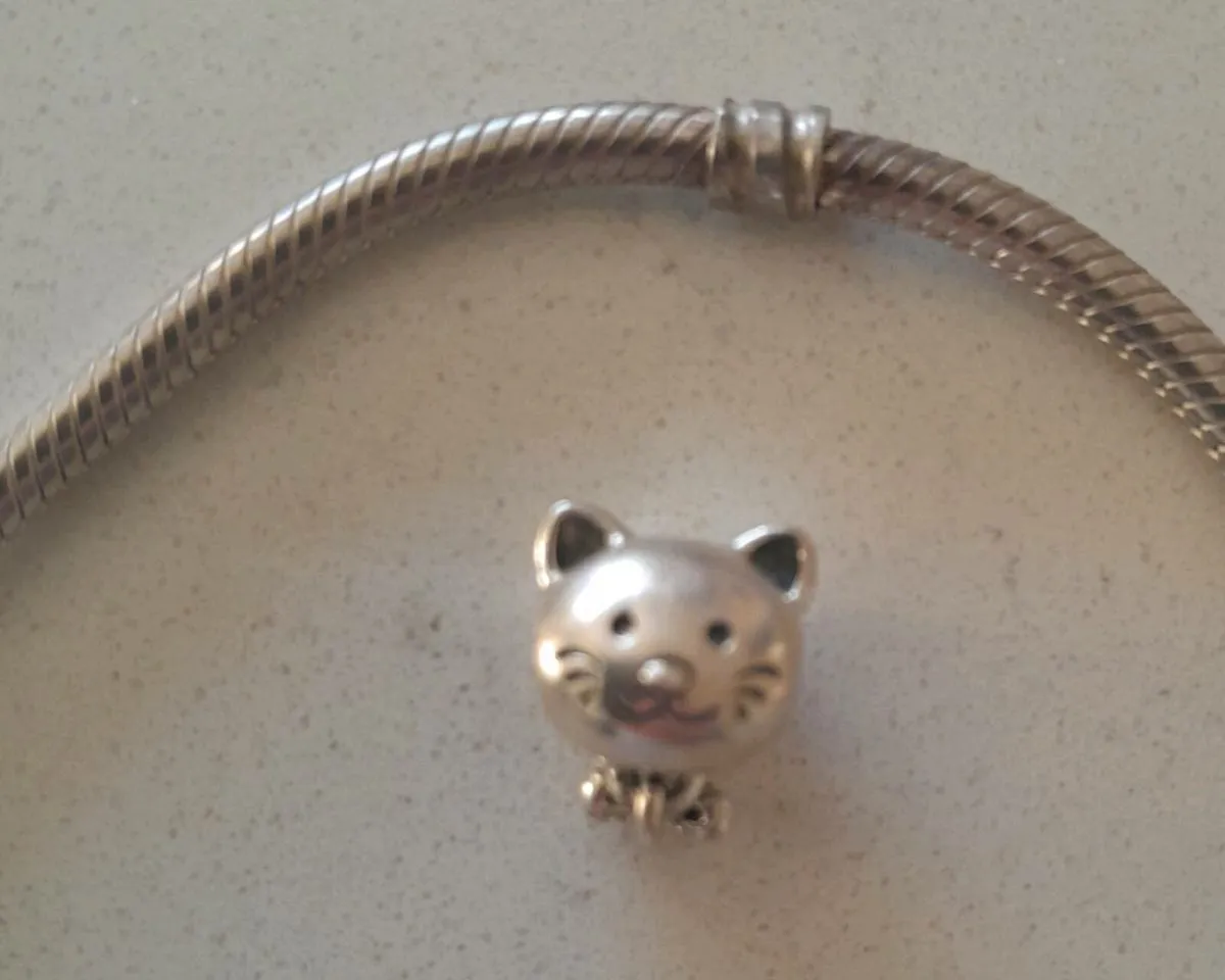 Pandora charms, sold together or separate - Image 2