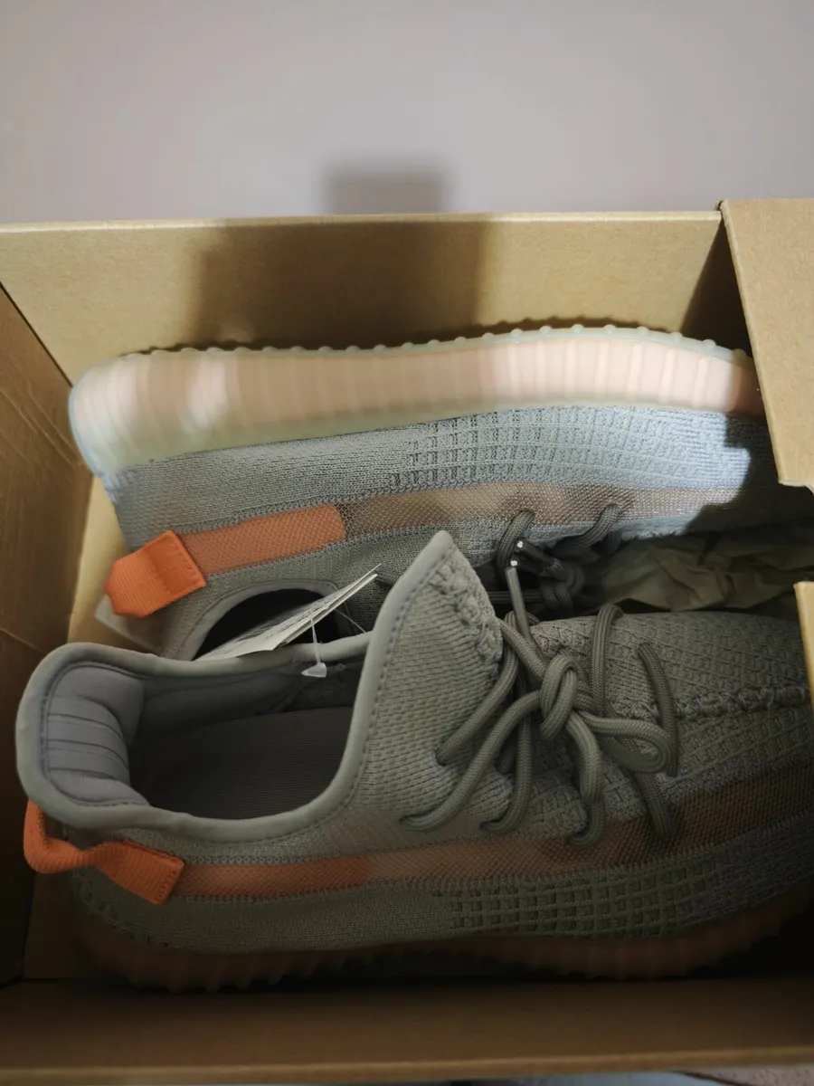 Yeezy Boost 350 V2 True Form UK 11 (BNWB) - Image 1