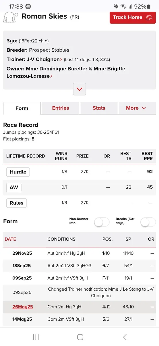 Thoroughbred colt foal - Image 3