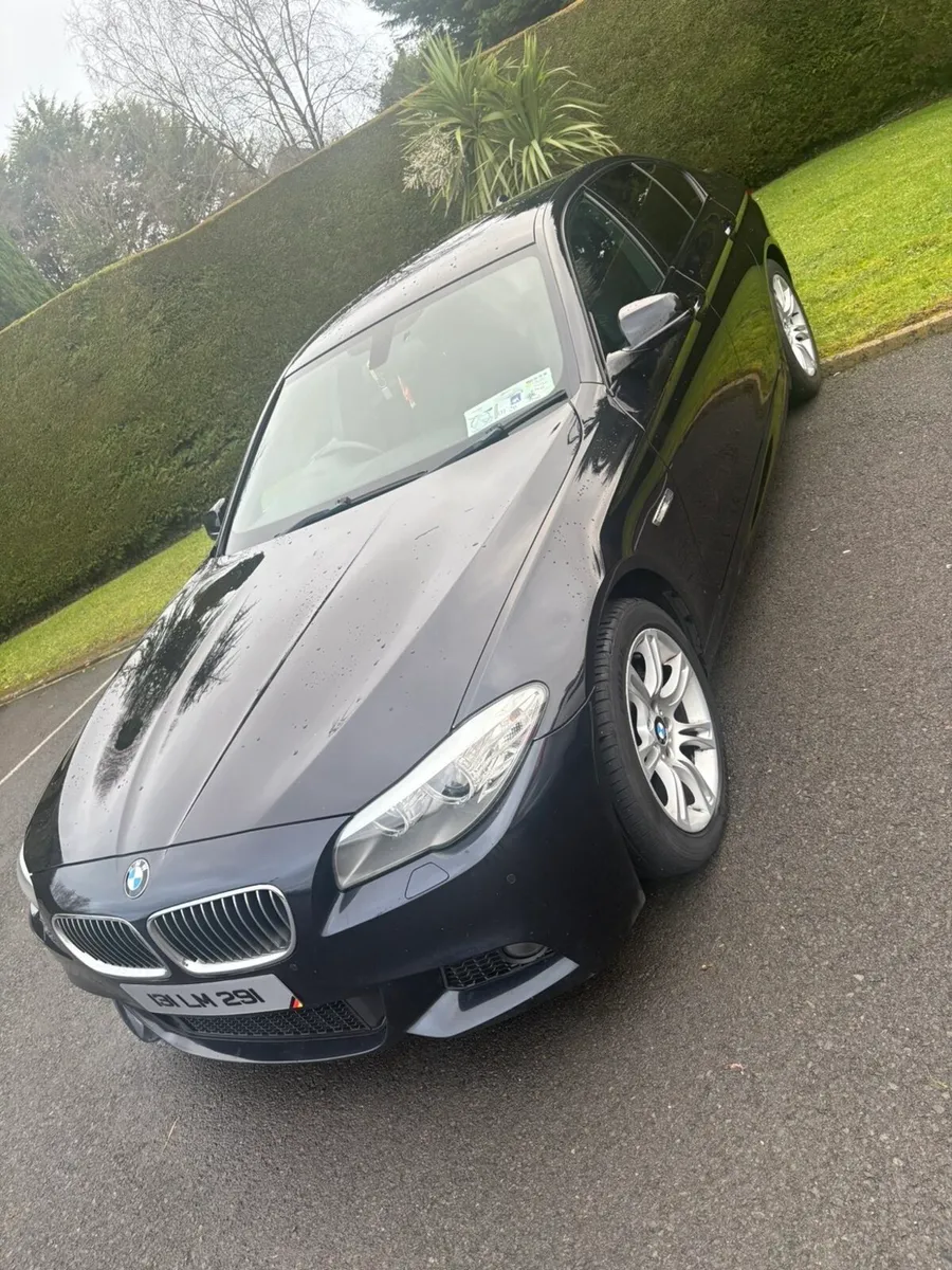 BMW 520d Msport - Image 1