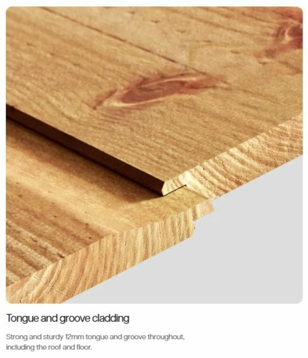 🪵 Coola Deluxe 6×4 Apex Tongue & Groove Shed - Image 2