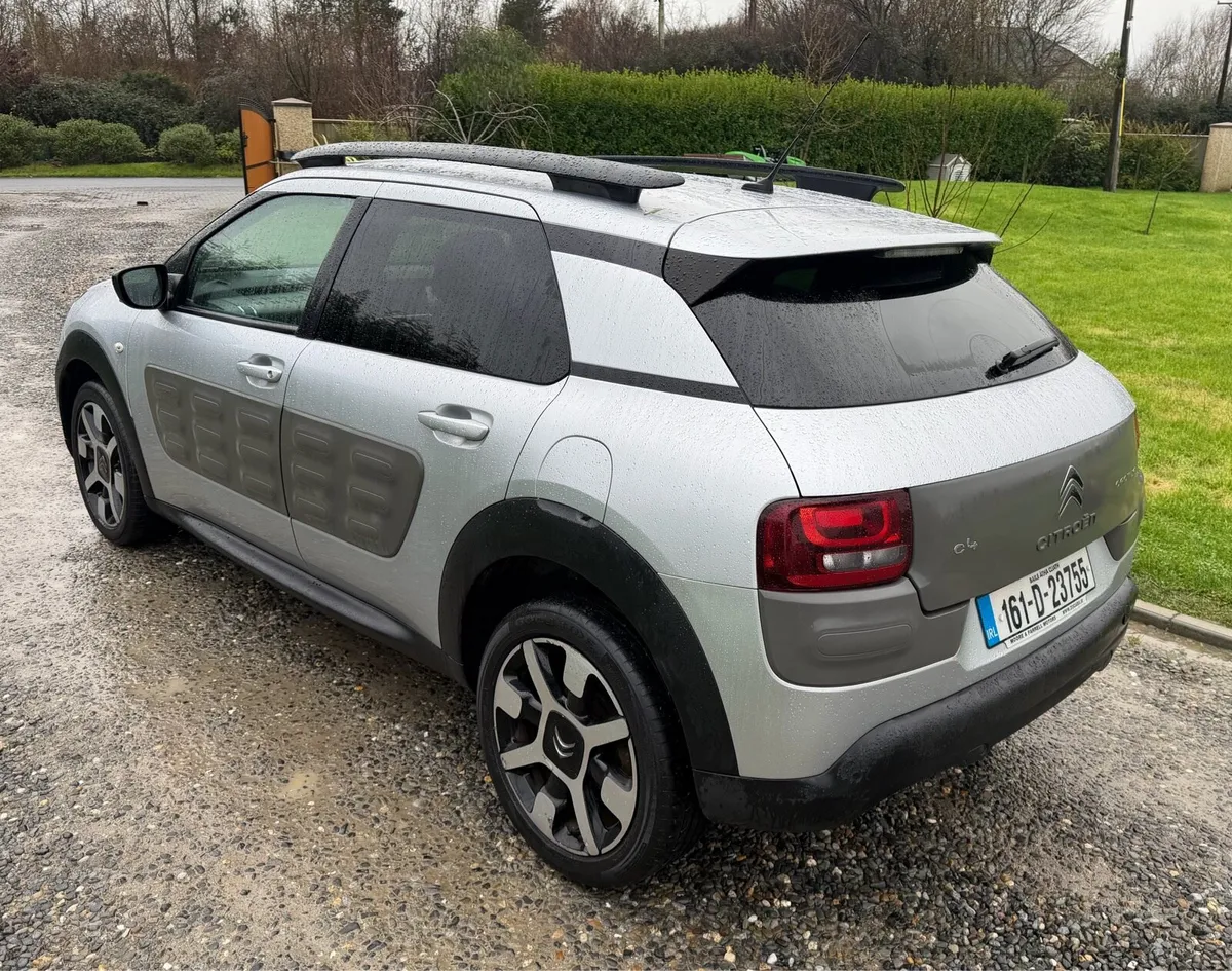 Citroen C4 Cactus - Image 4