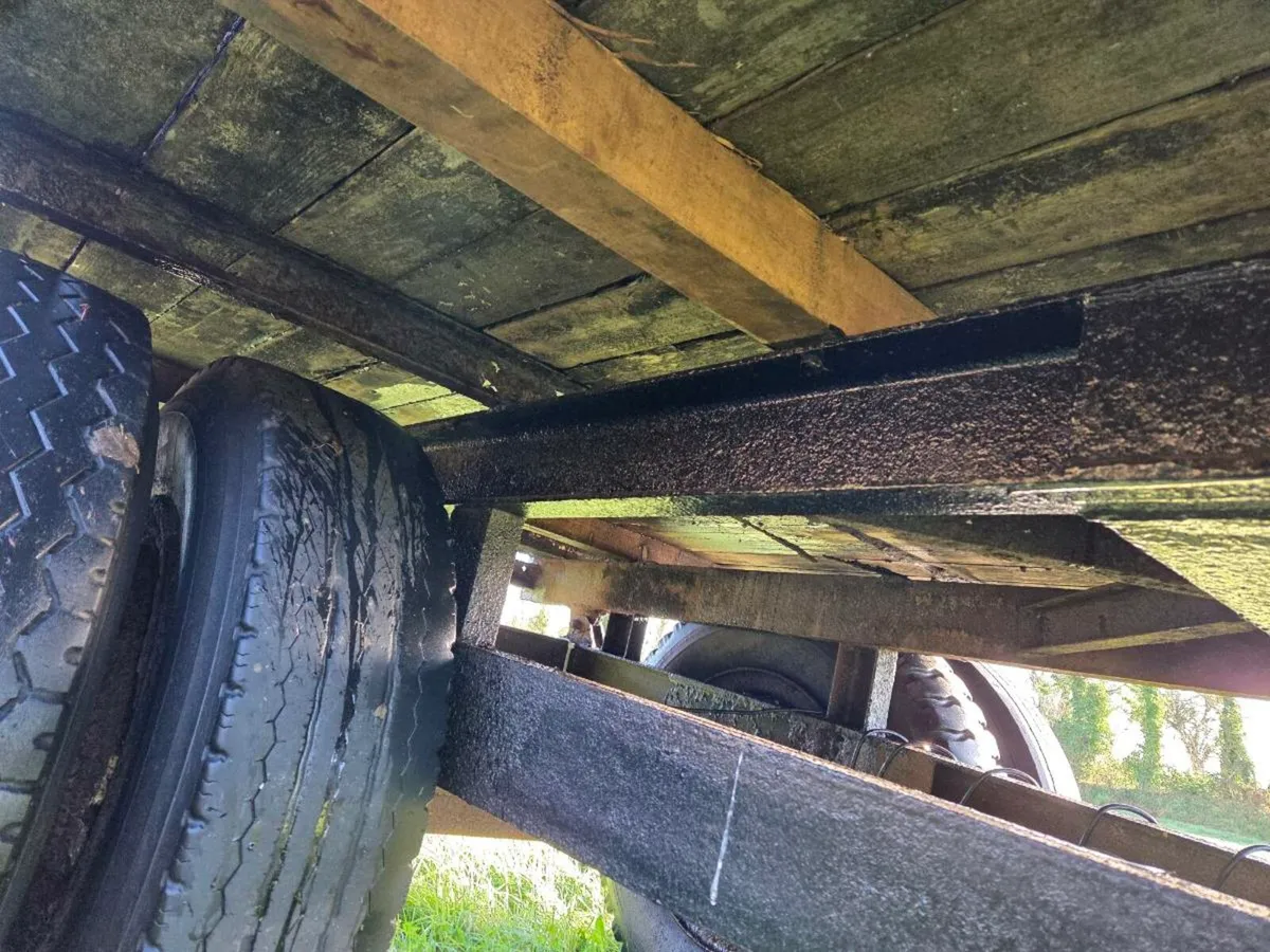 Tipping trailer - Image 4