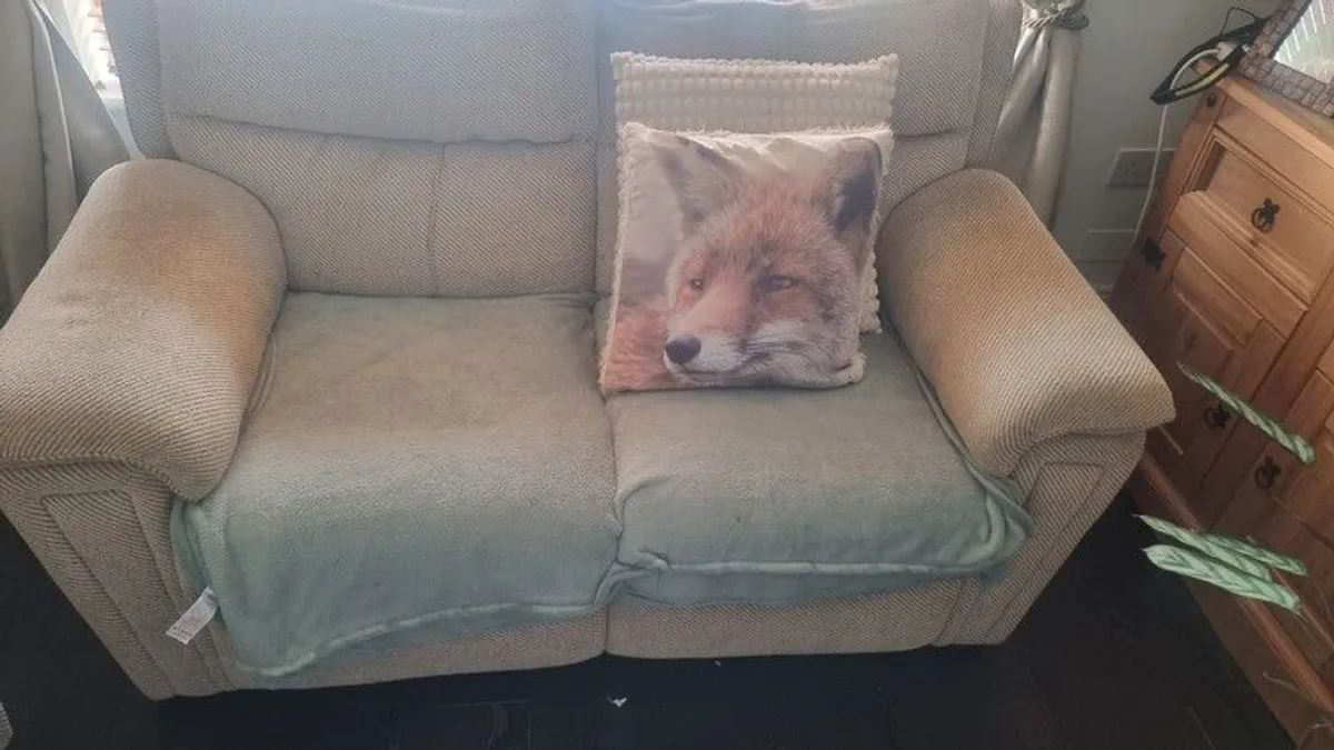 Free 2 Seater Recliner - Image 1