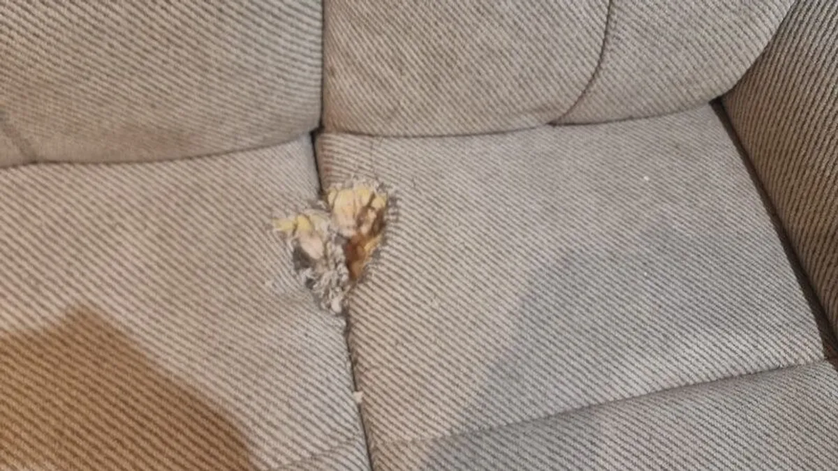 Free 2 Seater Recliner - Image 3