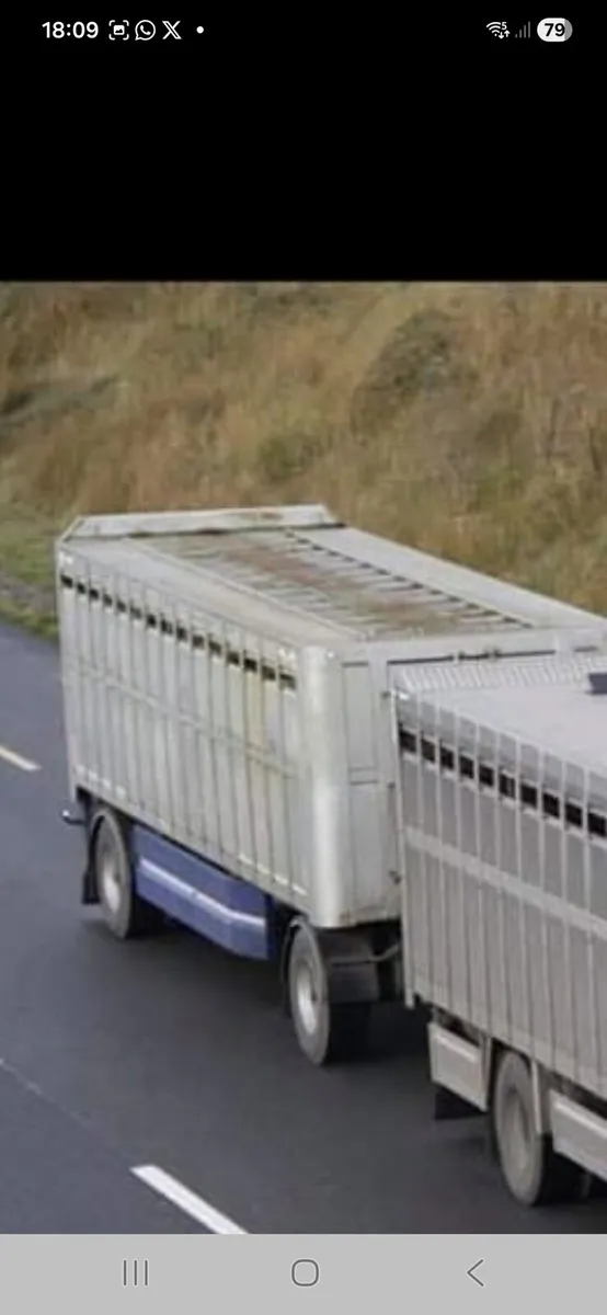 Livestock Drag Trailer. - Image 3