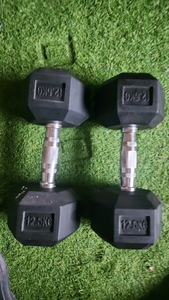 Hex dumbells10 /12.5/15/17.5/ 22.5/25/32.5/40kg - Image 2