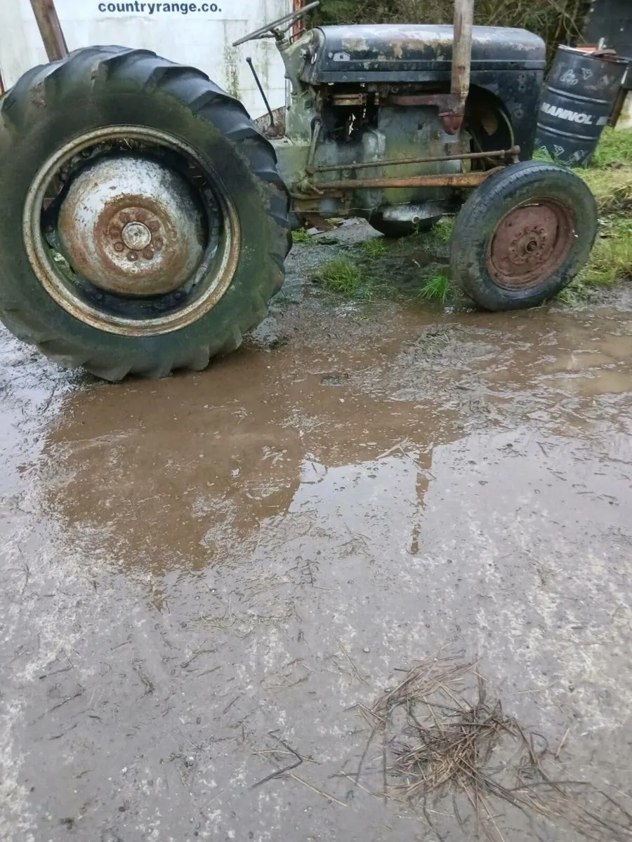 MF TE20 diesel - Image 3