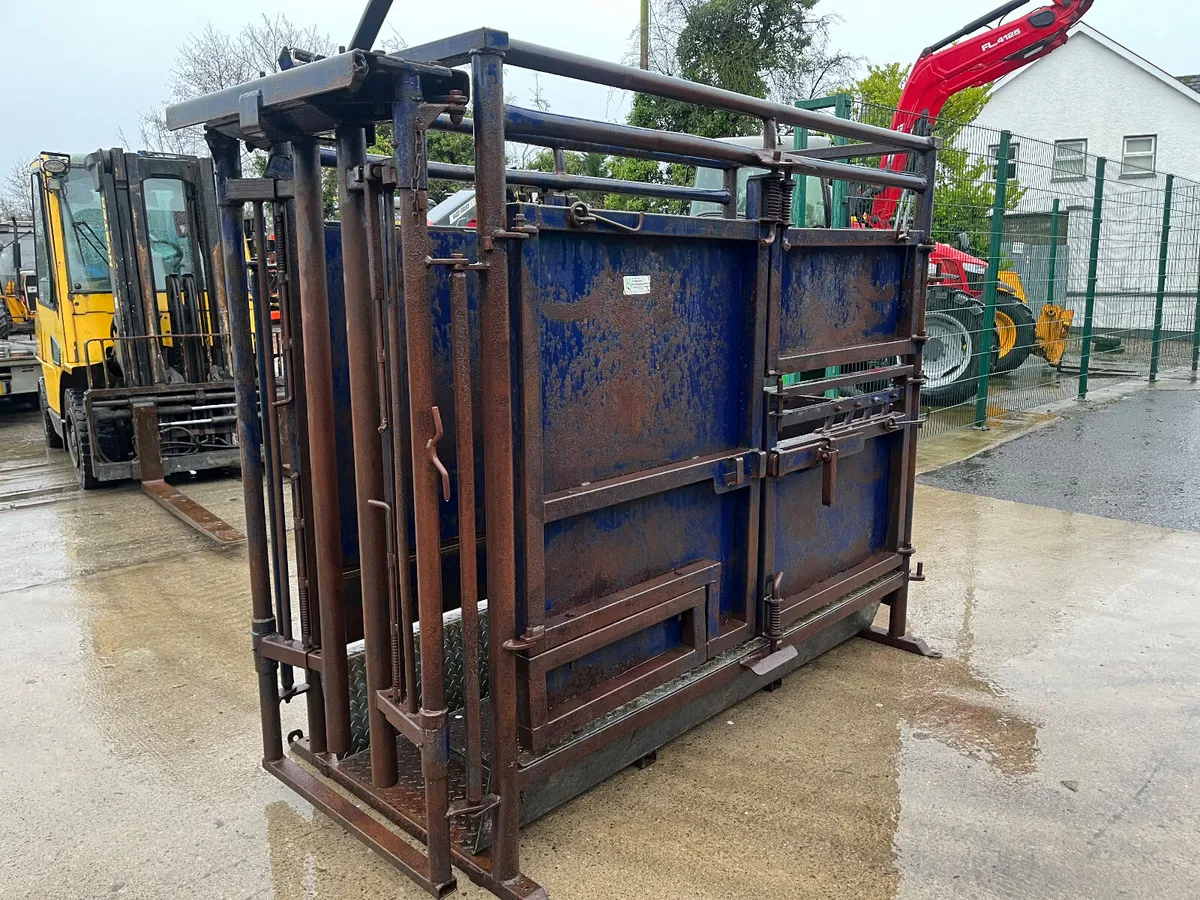 Cattle crush - Image 4