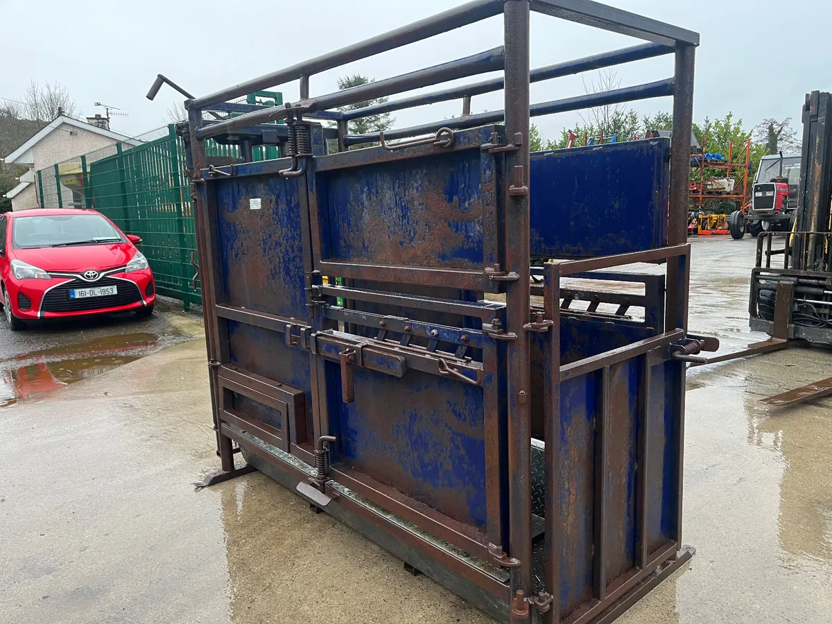 Cattle crush - Image 3