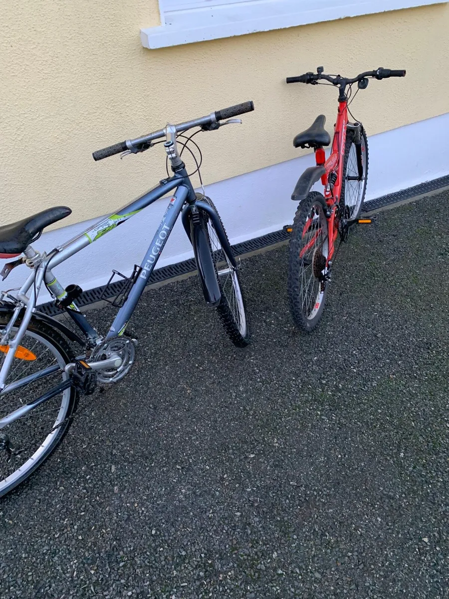 2 Bikes - Image 2