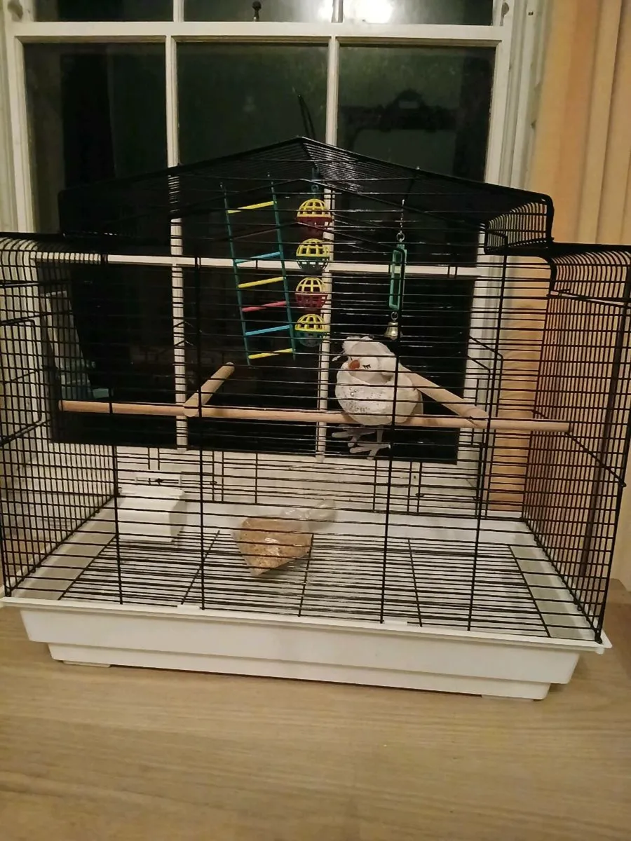 Budgie cage - Image 1