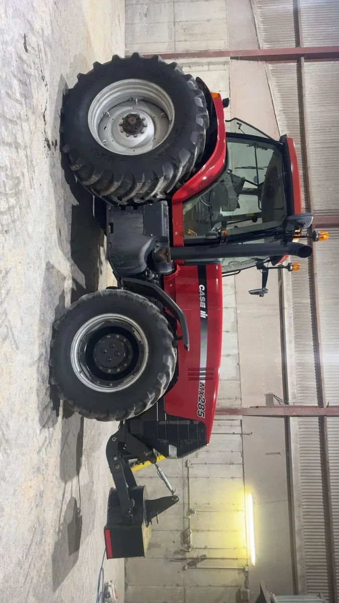 Case magnum - Image 2