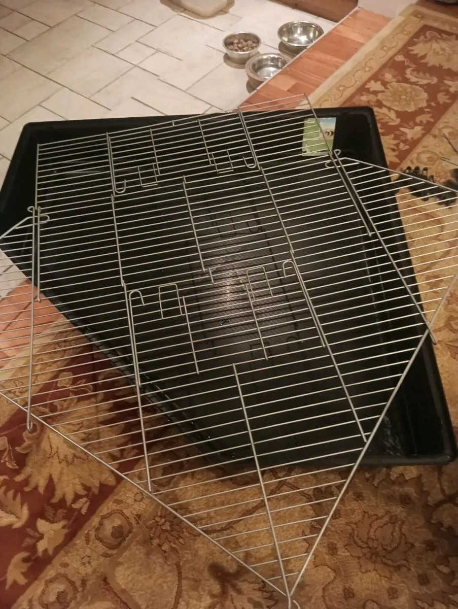 Large cage as new ,80 euro - Image 4