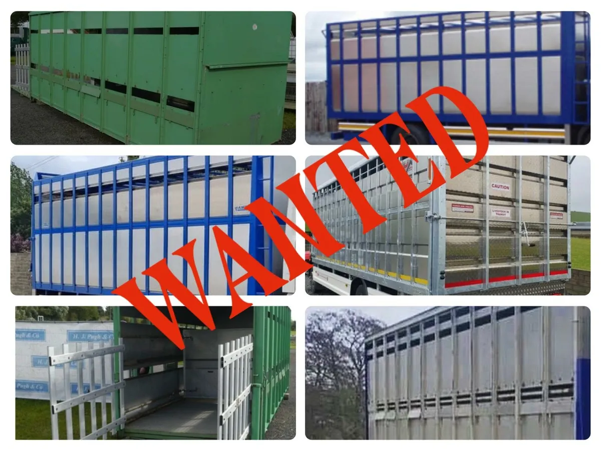Cattle truck body wanted - Image 1