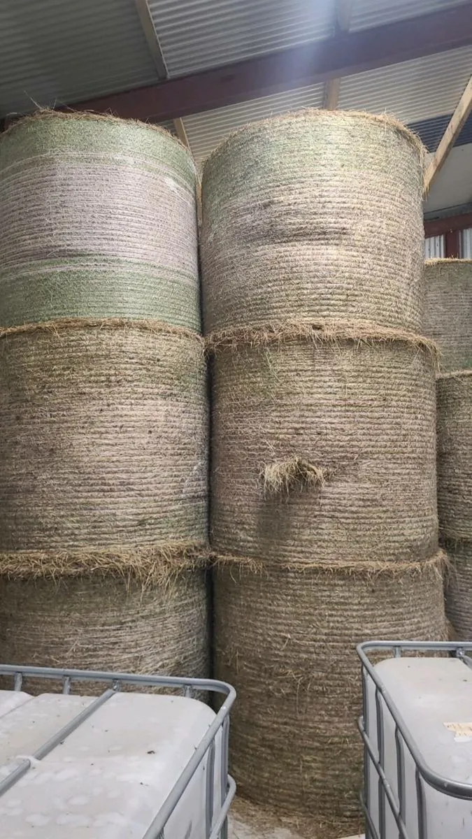 Bales of hay - Image 1