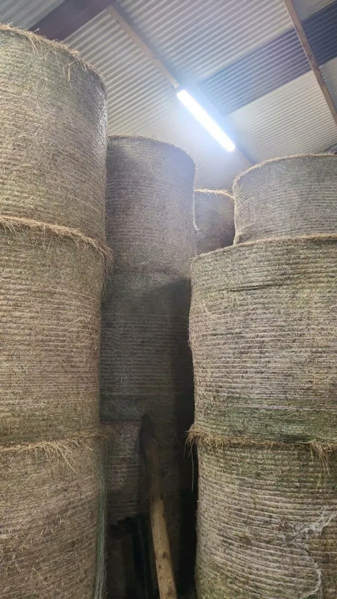 Bales of hay - Image 2