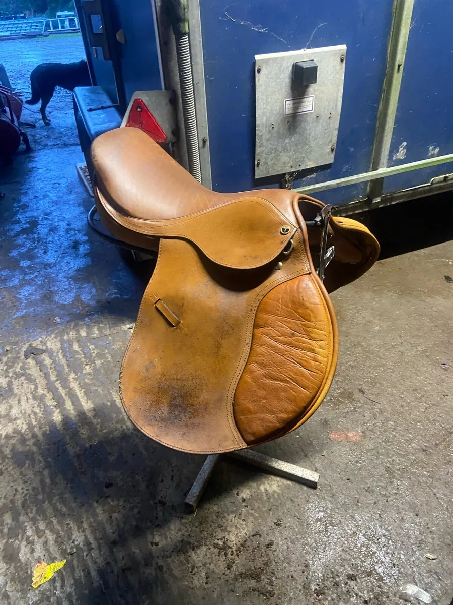 Saddle 18” - Image 1