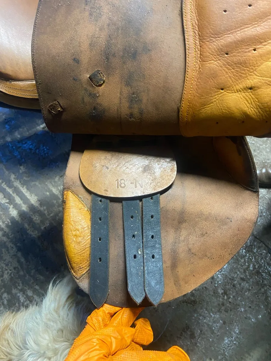 Saddle 18” - Image 4