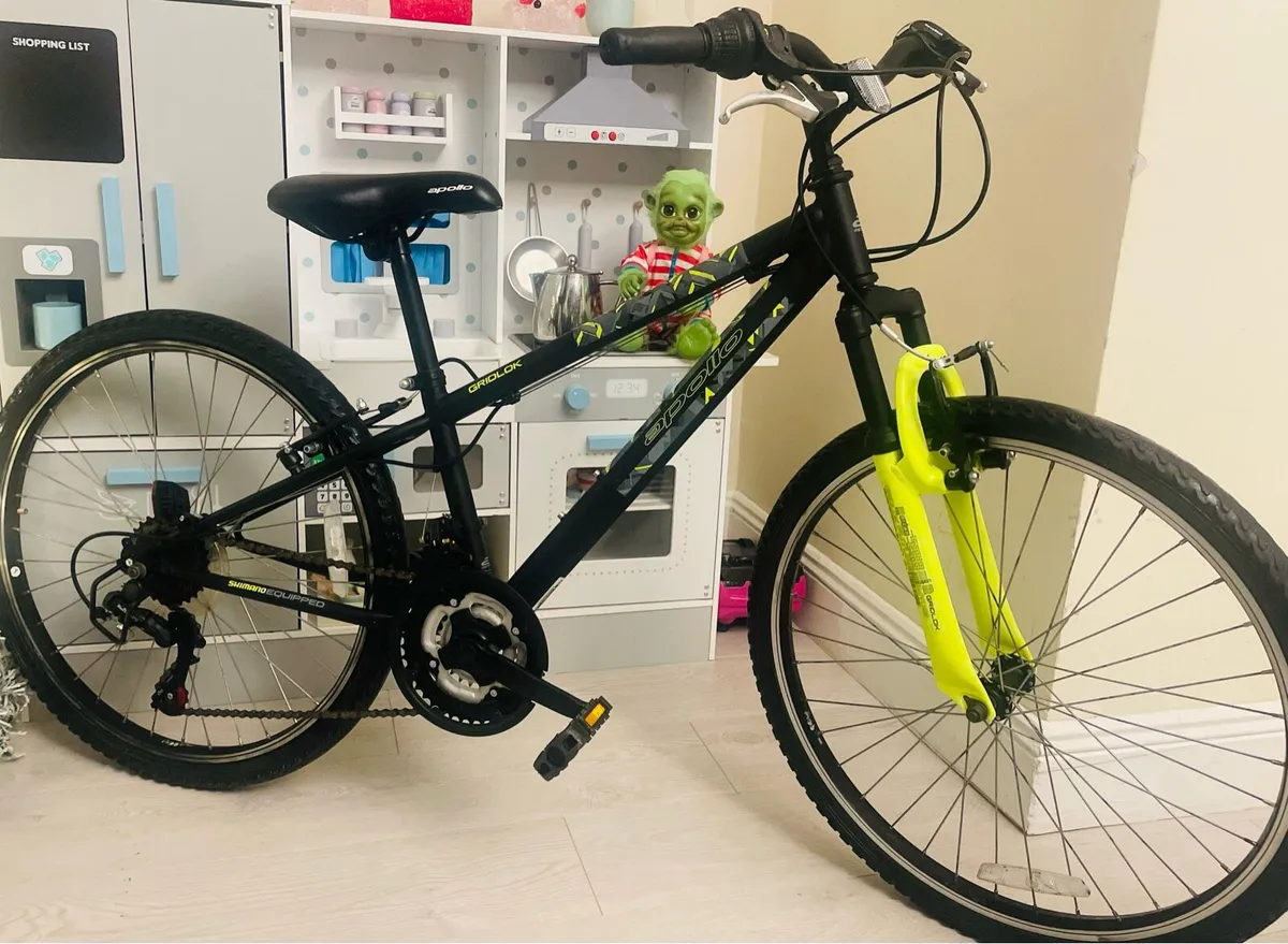 24 mountain bike - Image 1