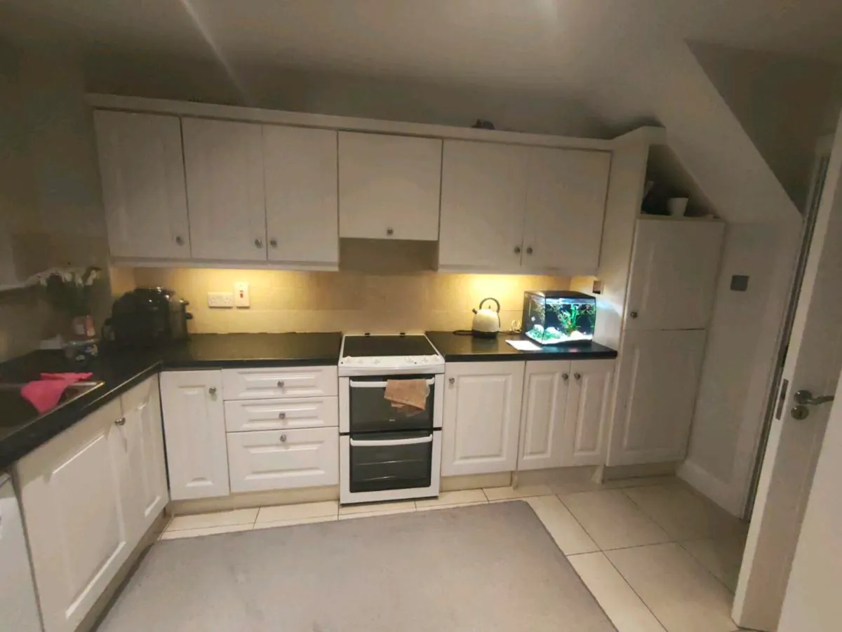 Kitchen cabinets - Image 1