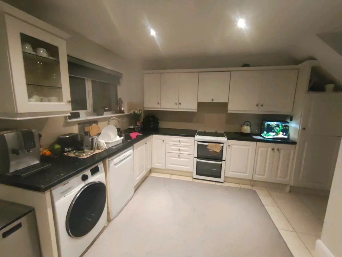 Kitchen cabinets - Image 2