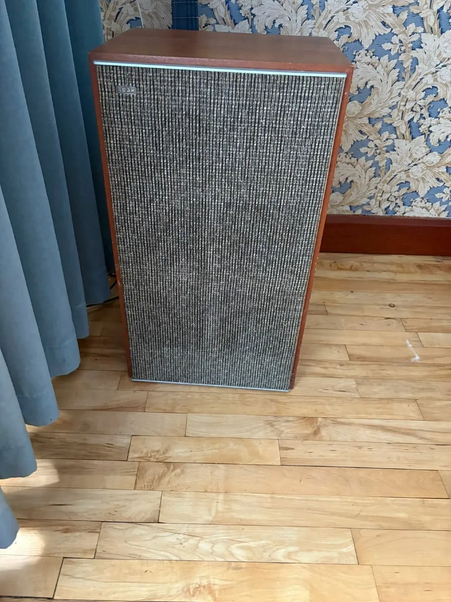 Leak speakers sandwich vintage