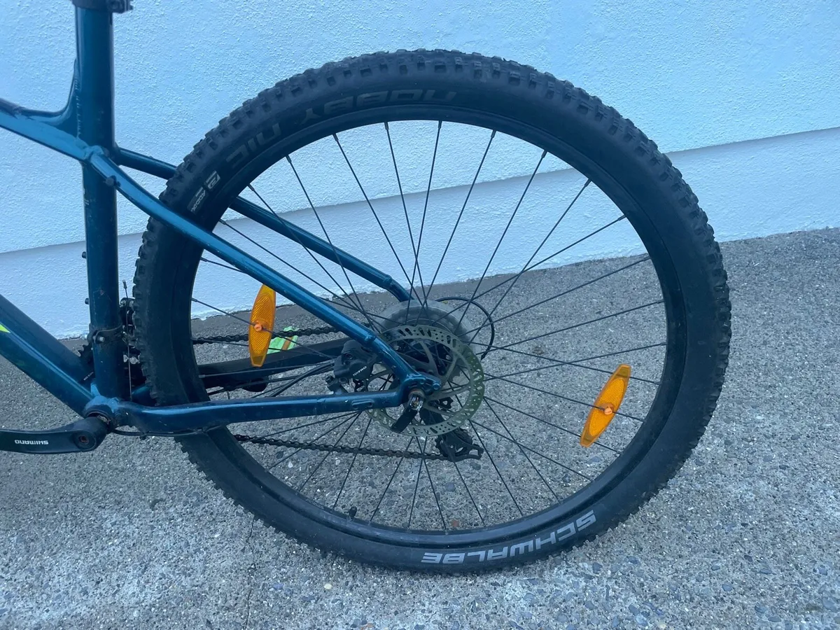 Trek adult bike XL - Image 2