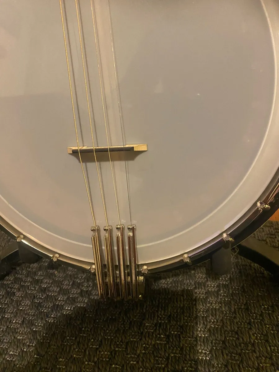 Clareen Oyster Short Scale. - Image 3