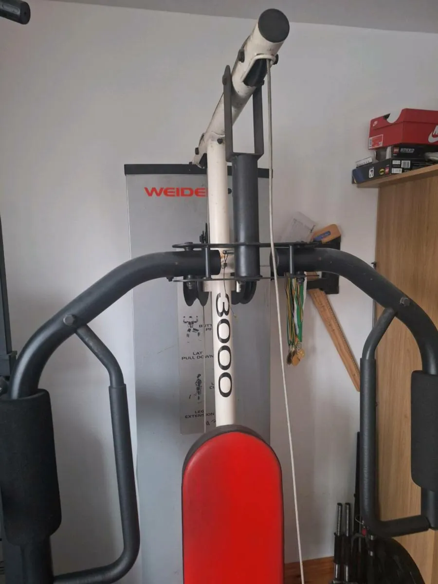 Gym Weights/bench - Image 1