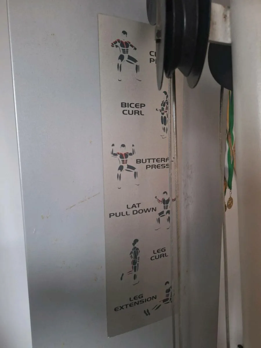 Gym Weights/bench - Image 2