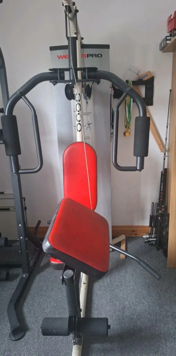 Gym Weights/bench - Image 3