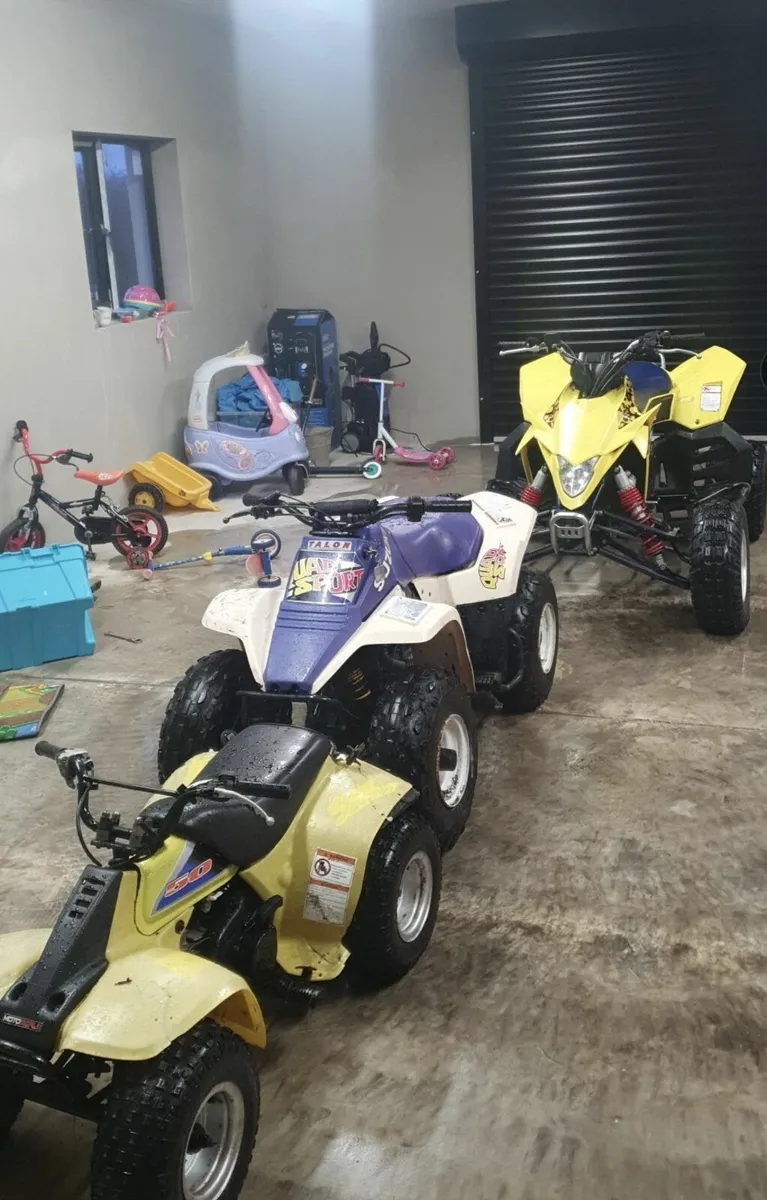 Ltr suzuki 450 - Image 3