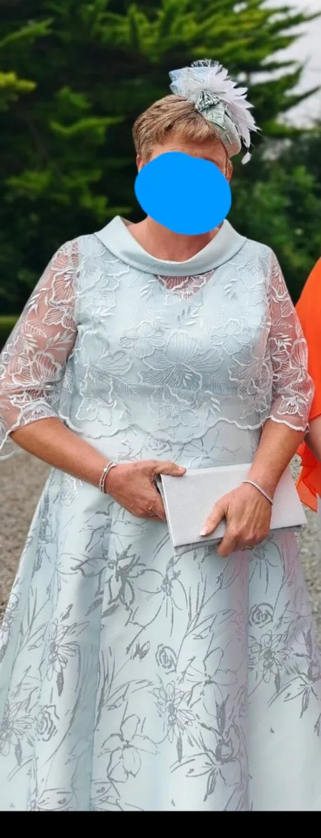 Mother of bride/groom dress and accessories - Image 1