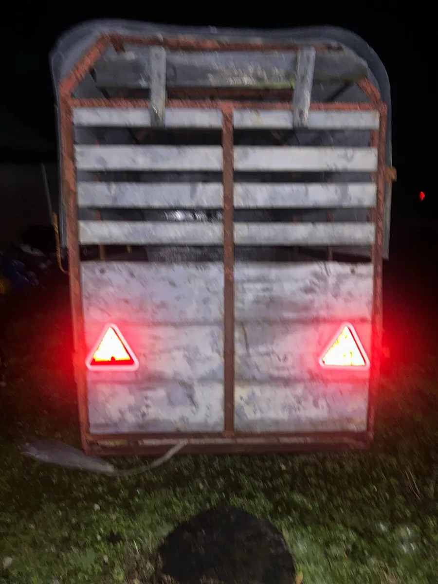 7x4”4 sheep trailer - Image 1