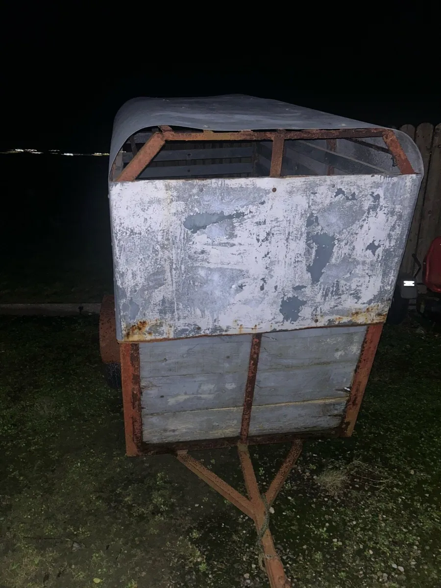 7x4”4 sheep trailer - Image 3