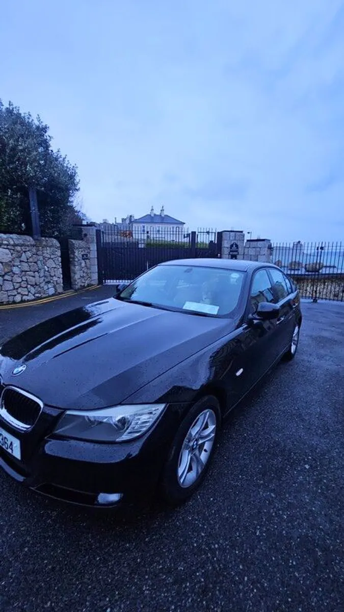 2010 Bmw 318i - Image 3