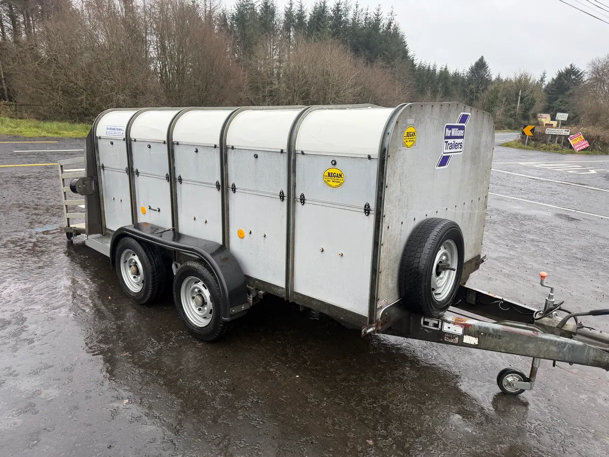 Ifor Williams sheep trailer 10x5 - Image 1