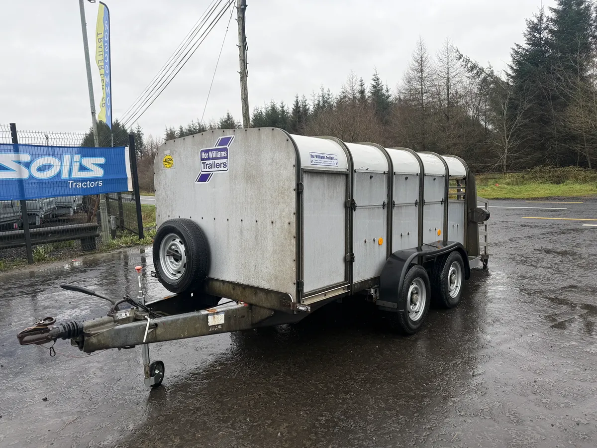 Ifor Williams sheep trailer 10x5 - Image 2