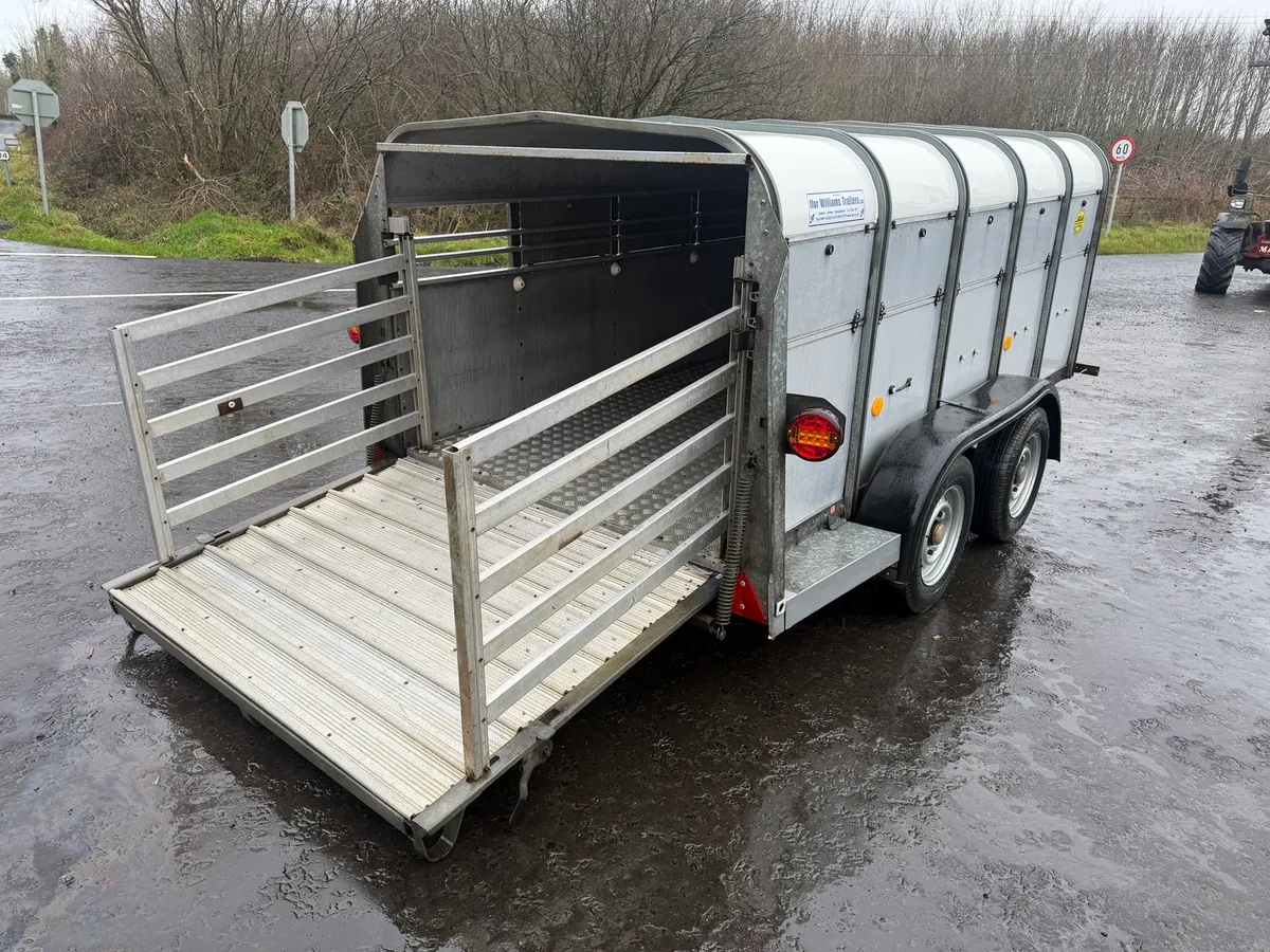 Ifor Williams sheep trailer 10x5 - Image 4
