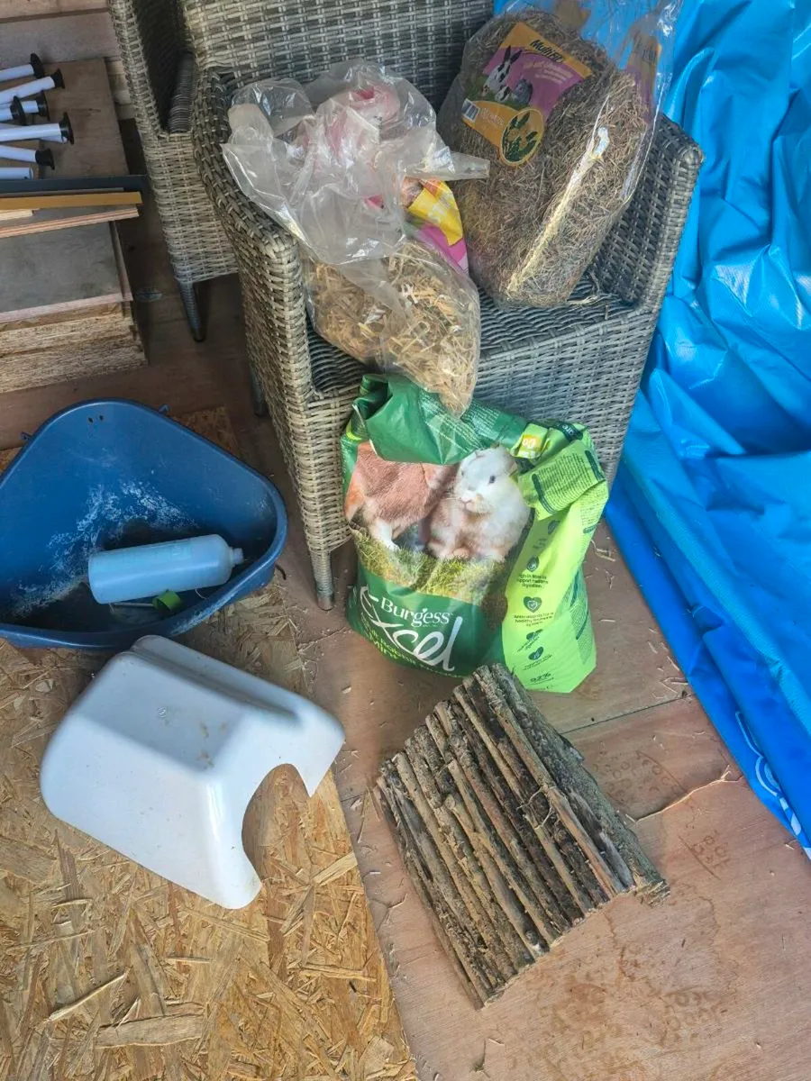 Rabbit hutch - Image 2