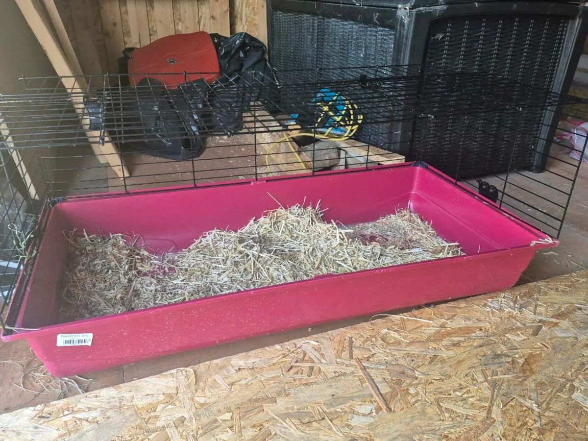 Rabbit hutch - Image 3