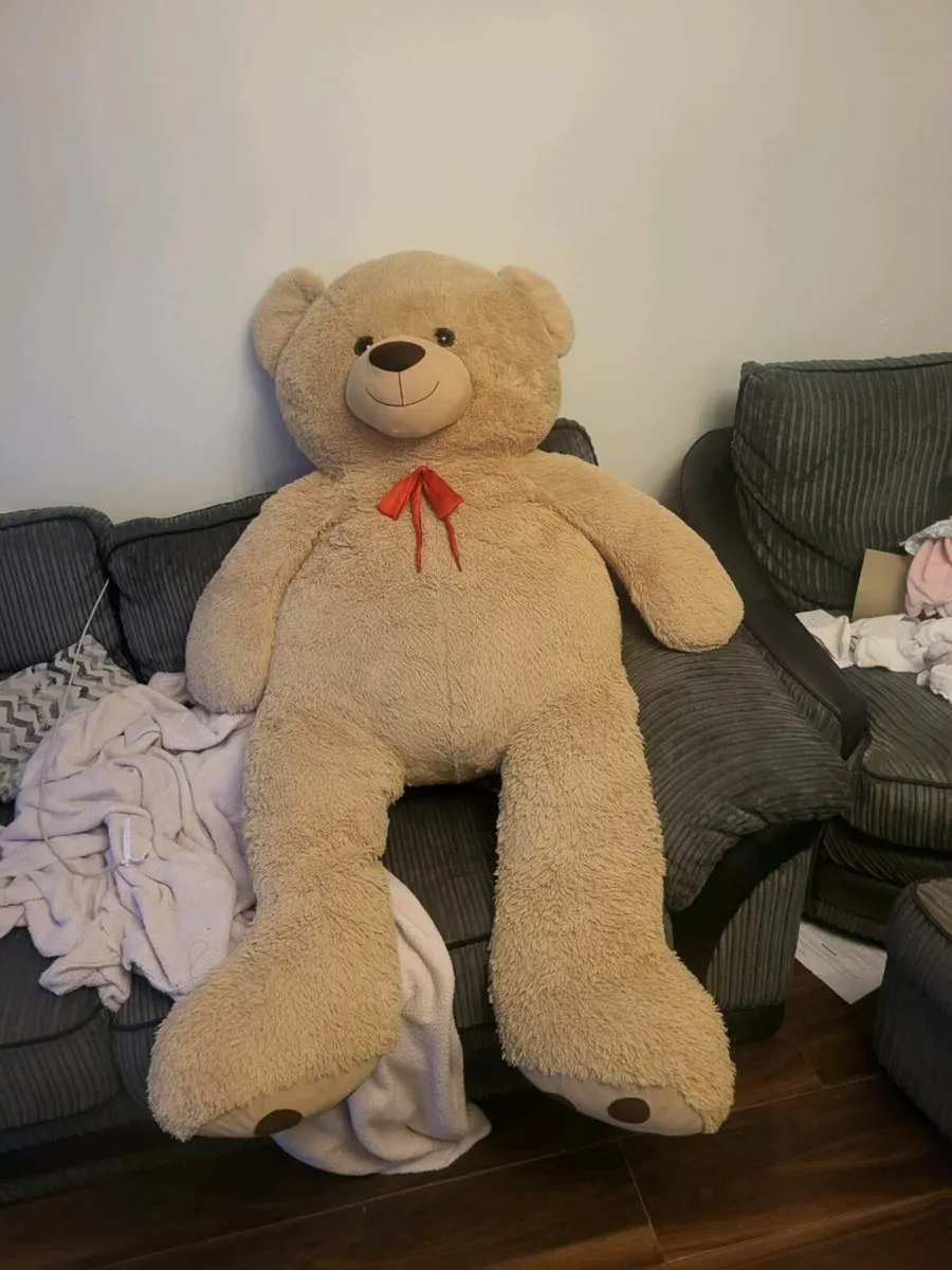 Giant Billy the teddy Bear - Image 2