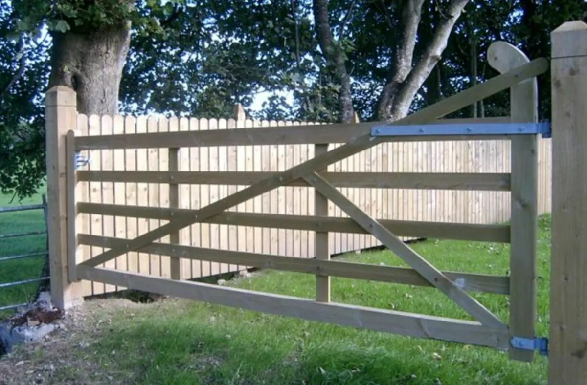 Pallas gate- Made to order - Image 2