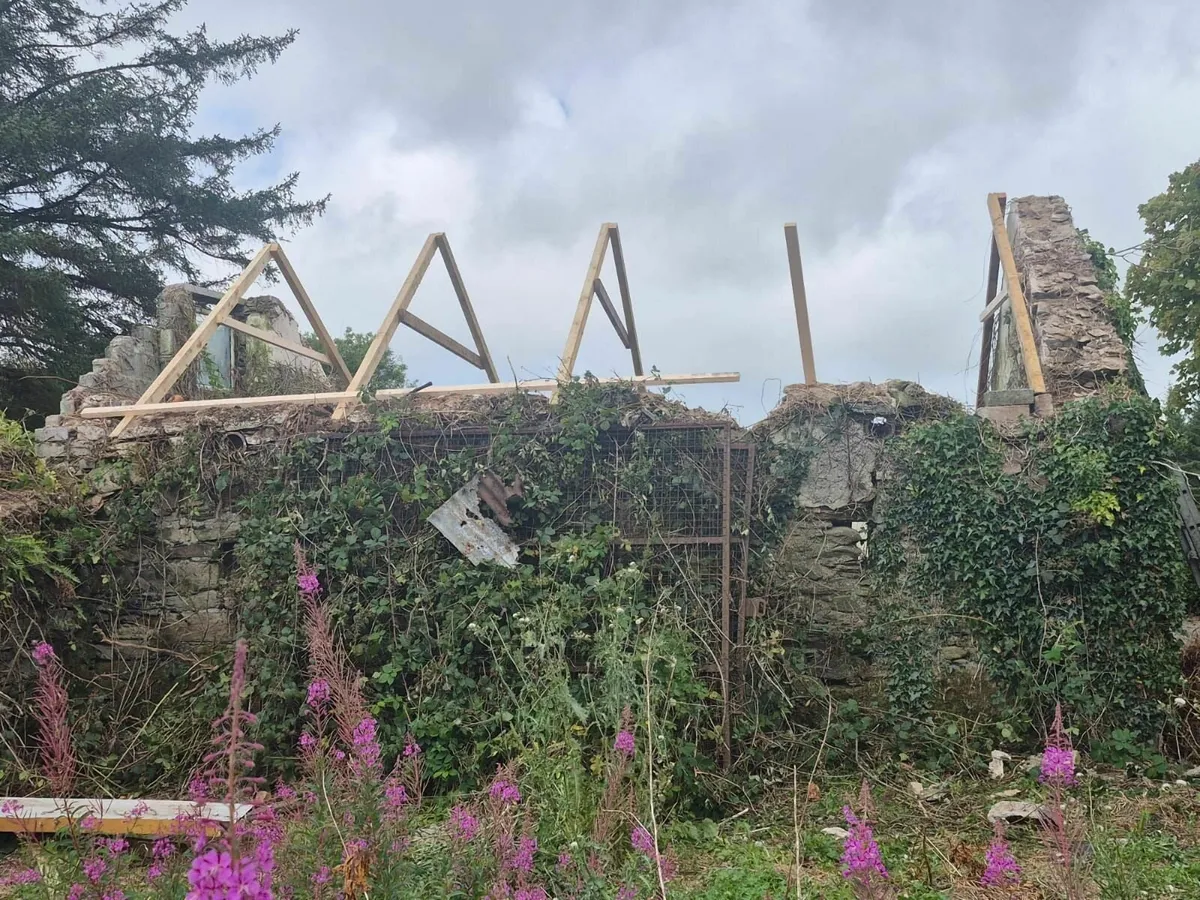 Farm Shed Repairs, Walls, Round Roofs, Buildings - Image 3