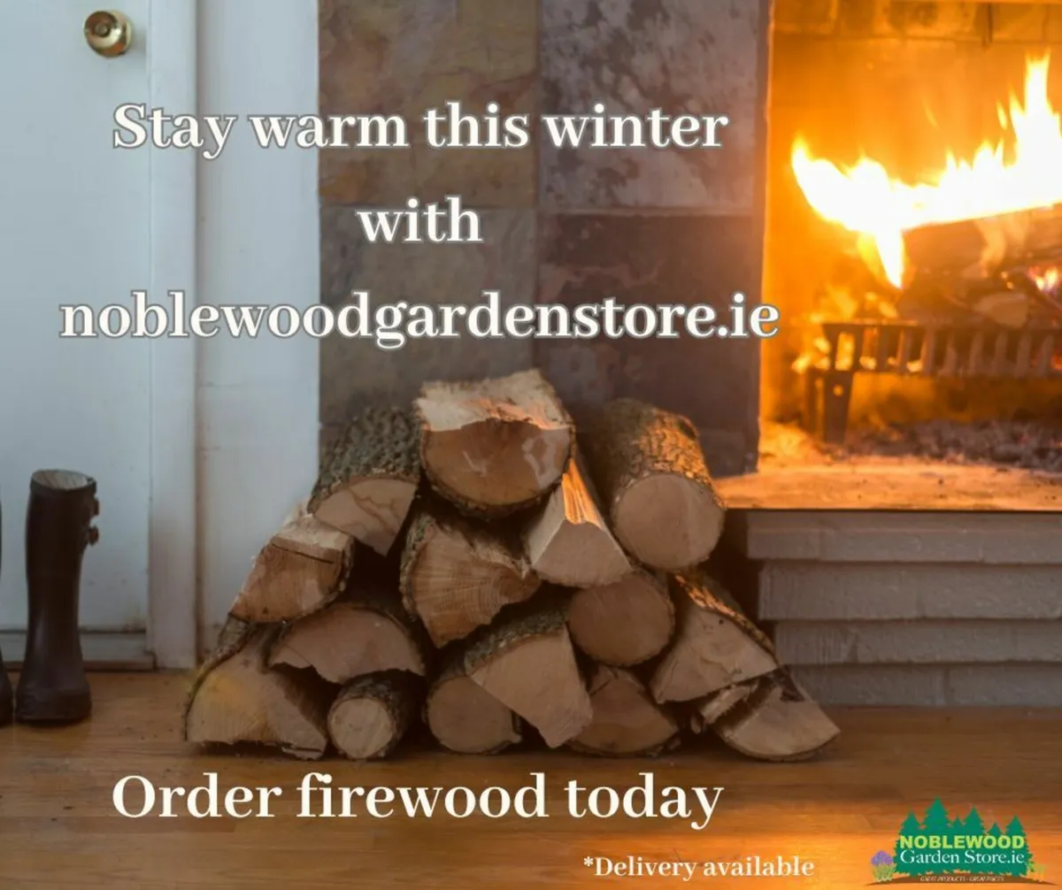 Kiln Dried Firewood - Birch & Ash in Stock - Image 1